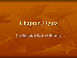 Chapter 3 Quiz