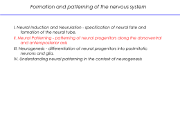 Neural Patterning II (Pevny)