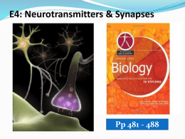 E4 - Neurotransmitters and Synapses - IBDPBiology-Dnl