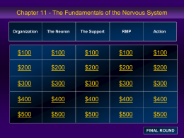 Chapter 11 Jeopardy Review