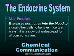 Endocrine and nervous system - Glasgow Independent Schools