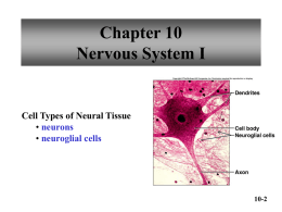 chapt10_lecture blank