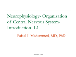 Neurophysiology- Central Nervous System