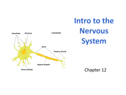 1. Intro to Nervous System WEB