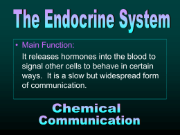 Endocrine and nervous system