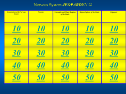 20 Organization of Nervous System