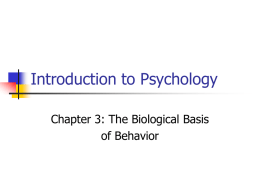 intro to psych ch3 biological bases of behavior