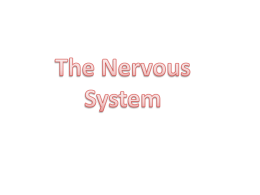 Nervous & Endocrine Systems