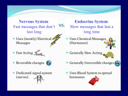 Nervous System & Endocrine System PP Notes