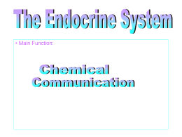Endocrine and nervous system