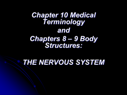 Ch 10MT and Ch 8-9 BS Nervous System