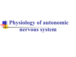 12 Physiology of autonomic nervous system