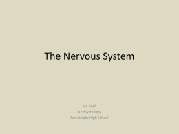 Nervous Systems - kochappsych1011