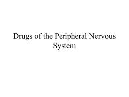 9-18-04 Nervous System Peripheral No1