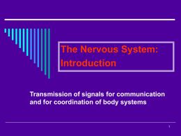 CH005a NERVOUS SYS - INTRO 10-22