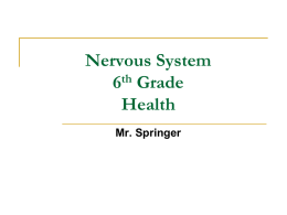 Nervous System 6th Grade Health