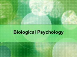 4.BiologicalPsycholo..