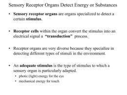 Sensory receptor organs