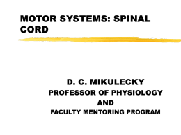 motor systems: reflexes and control