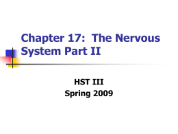 Chapter 17: The Nervous System Part II - Practicum-Health-II