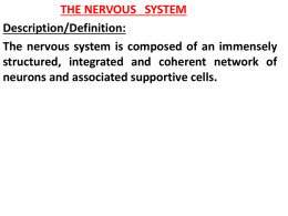 The nervous tissue is made up of