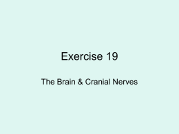 Exercise 19