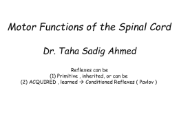 02 Spinal Cord Funcionsstudent