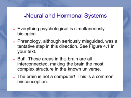 Module 4 Neural and Hormonal Systems