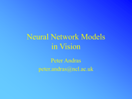 Neural Network Models in Vision