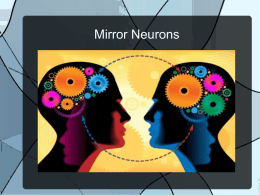 Mirror Neurons Mirror Neurons and Togetherness Togetherness is a