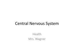 Central Nervous System - Fort Thomas Independent Schools