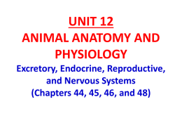 Unit 12 Animal Anatomy and Physiology Part 2