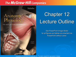 chapter_12 - The Anatomy Academy