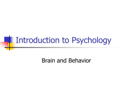 intro to psych brain and behavior