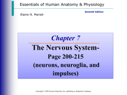 Nervous System part 1