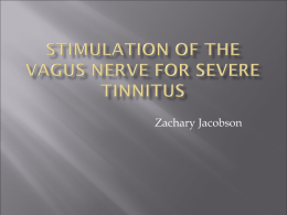Stimulation of the Vagus Nerve for severe tinnitus