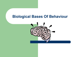 Biological Bases Of Behaviour