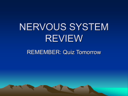 NERVOUS SYSTEM REVIEW