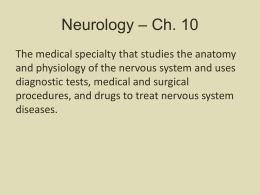 Ch. 10 Neurology