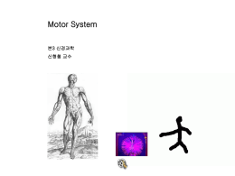 Motor system - Brain Facts