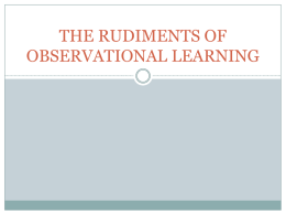 the rudiments of observational learning