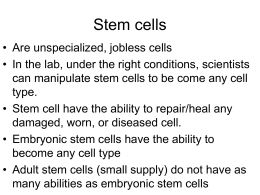 stem cells and cell specialization ppt