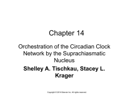 Shelley A. Tischkau, Stacey L. Krager