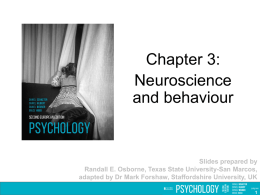 Chapter 03: Neuroscience and behaviour PowerPoint