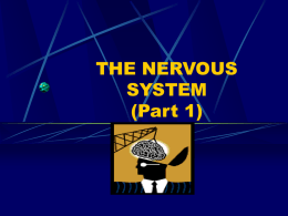 THE_NERVOUS_SYSTEM_(Part_I)
