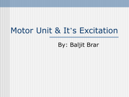 Motor Unit & It`s Excitation