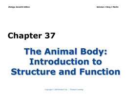 Chapter 37 - Biology Junction