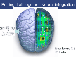 Neural integration
