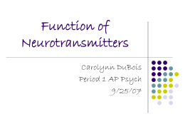 Function of Neurotransmitters