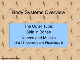 Body Systems Overview - Faculty Website Directory